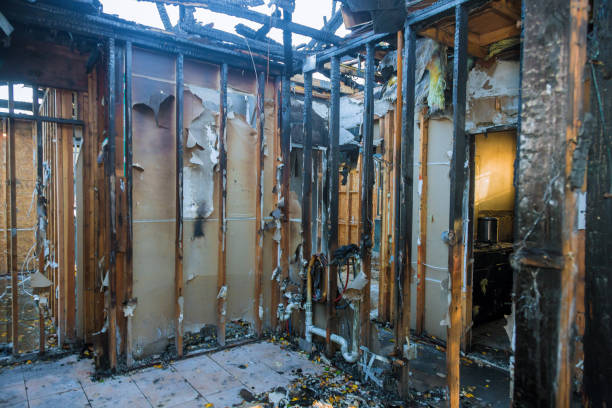 Professional Smoke Damage Removal technician working in Naples, TX
